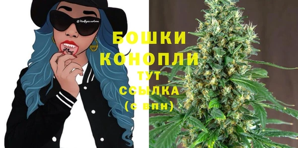гашик Аркадак