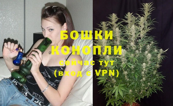 гашик Аркадак