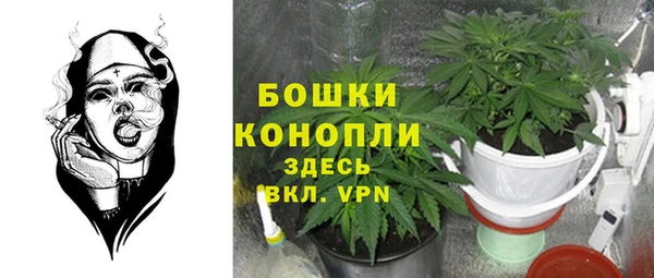 PSILOCYBIN Арсеньев