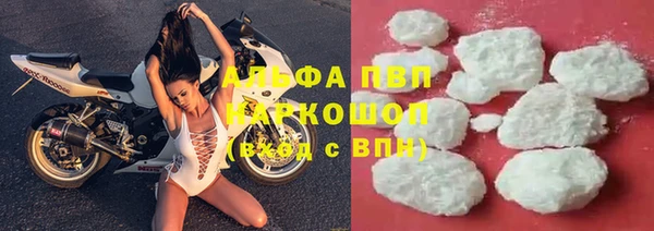 гашик Аркадак