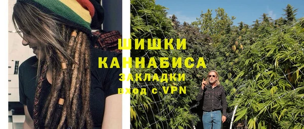 PSILOCYBIN Арсеньев