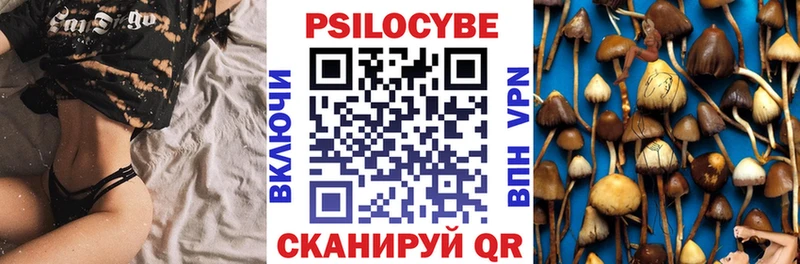 Галлюциногенные грибы прущие грибы  Кулебаки 