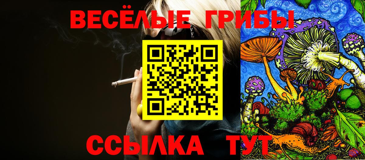 Галлюциногенные грибы мицелий  Вход с VPN  Галлюциногенные грибы GOLDEN TEACHER  Кулебаки 