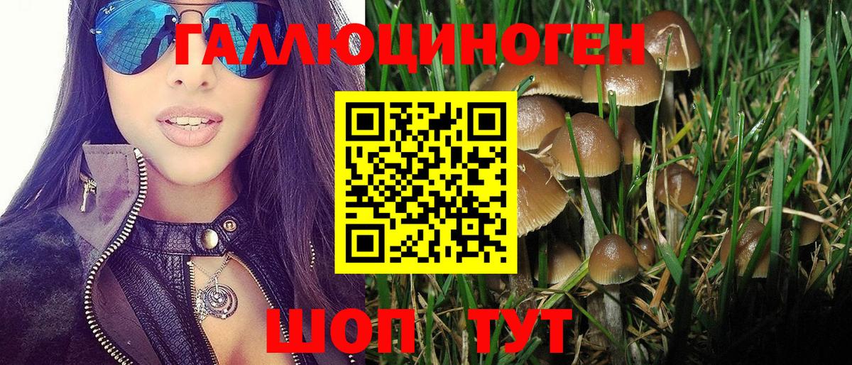 Псилоцибиновые грибы мухоморы Кулебаки